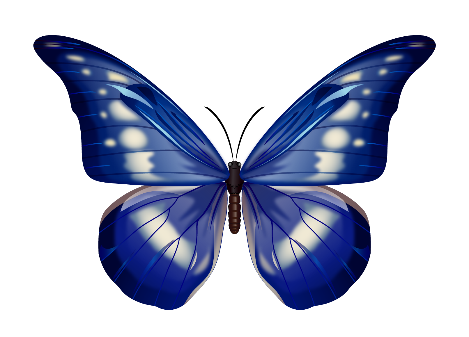 Papillon bleu et sens